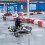 SUPEREGO Electric Go-Kart | 12KW Peak Power & 80km/h Top Speed – Race-Ready Electric Kart for Adults
