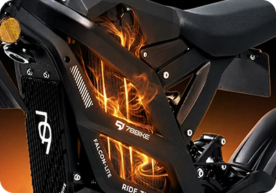 Falcon Lite detail 4