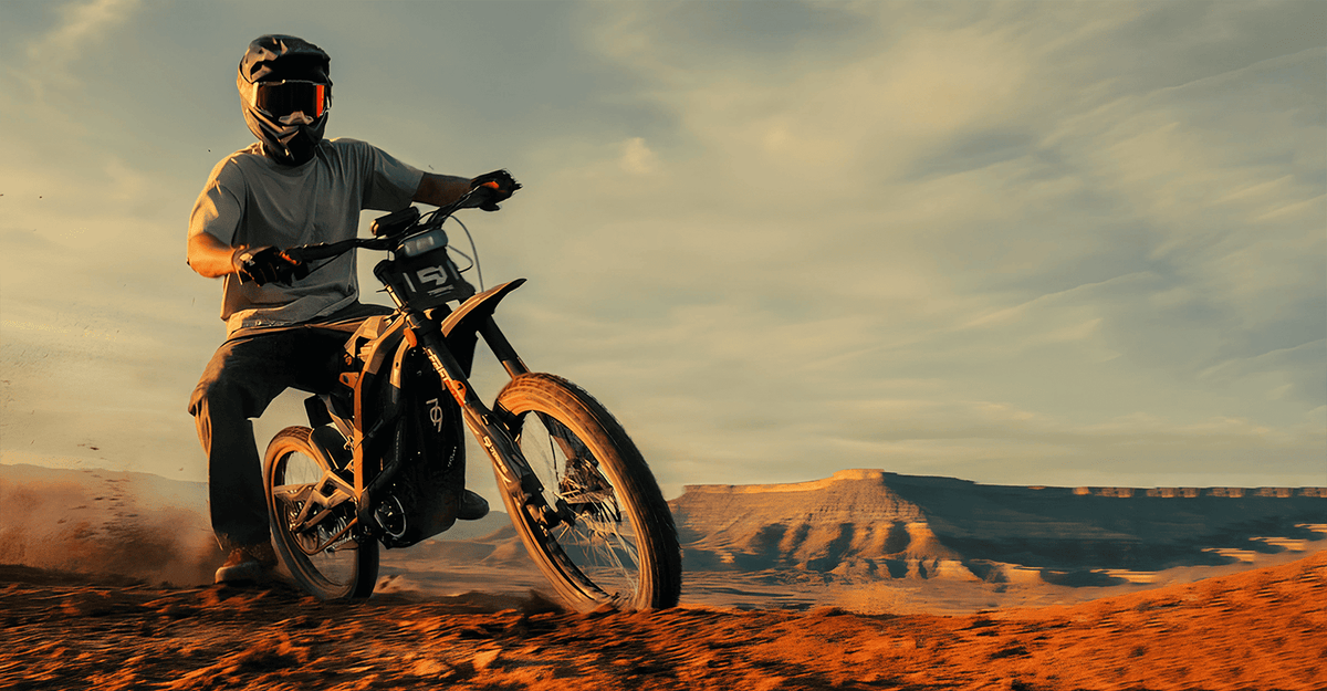 79Bike Falcon Pro Subheading 1