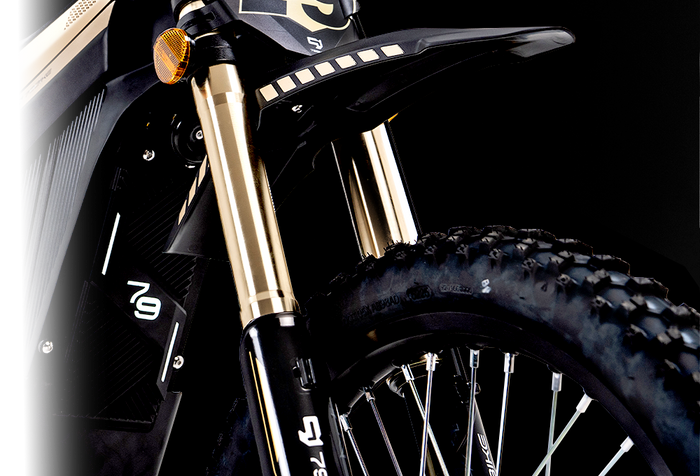 79Bike Lynx FastAce Front Fork 1
