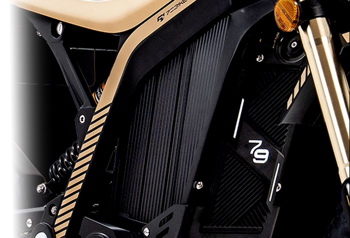 79Bike Lynx FastAce Front Fork 3