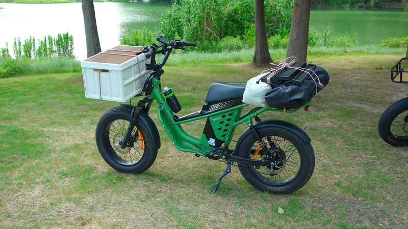 Camping e-bike Lightweight yet Powerful 1