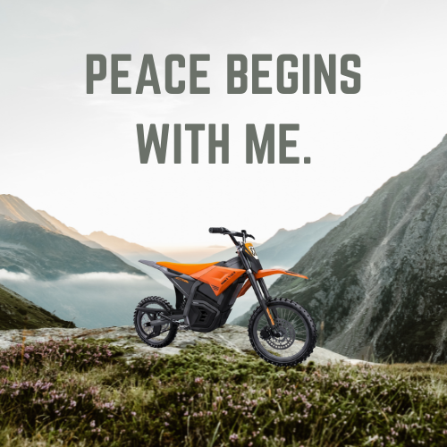 HEZZO D3 Riding Scenarios 3