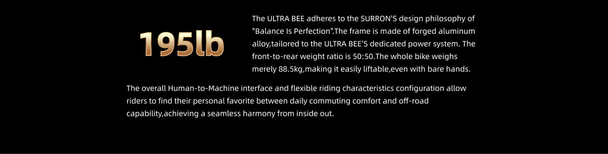Ultra Bee detail 4